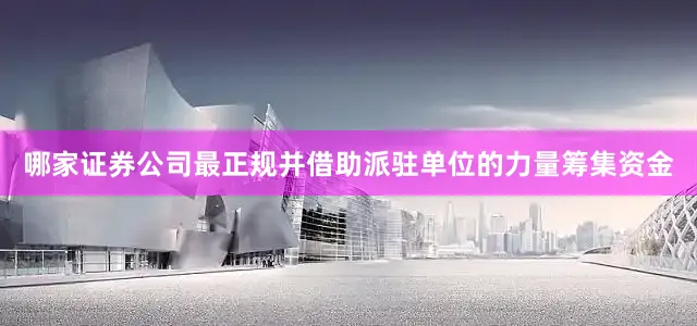 哪家证券公司最正规并借助派驻单位的力量筹集资金