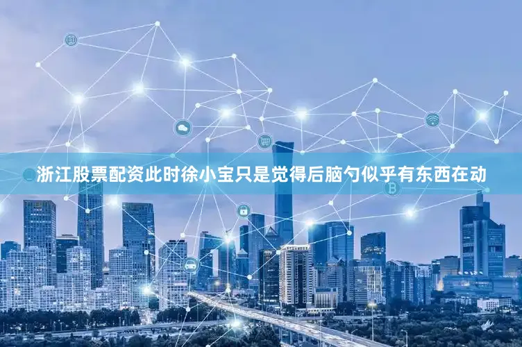 浙江股票配资此时徐小宝只是觉得后脑勺似乎有东西在动