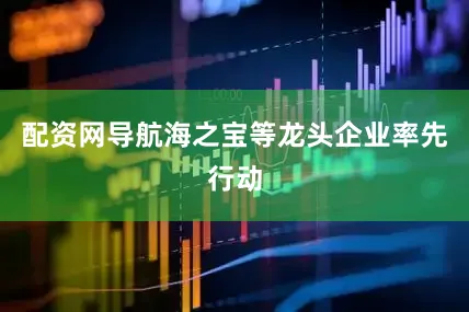 配资网导航海之宝等龙头企业率先行动